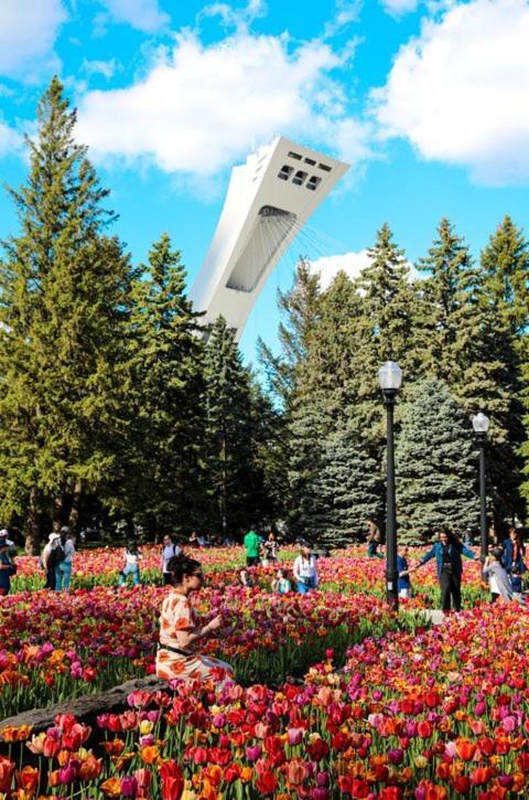 Mtlvacationrentals-The Mtlvr Kisses Montreal Zewnętrze zdjęcie